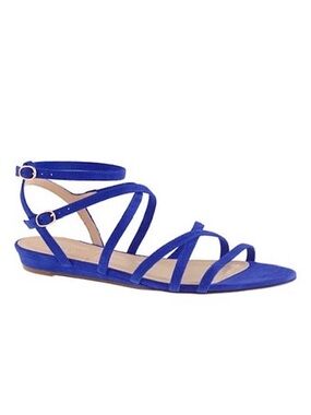 J.Crew Emmaline Sandal Blue Suede Mini Wedge Pointed Toe Strappy Flat Sandal 6